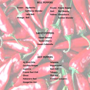 Peppers, Peppers, Peppers!!!