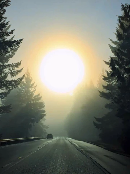 Allena la tua mente attraverso la meditazione...