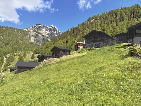 IMG_8123 (Groß).jpg