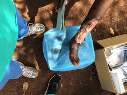 30550855_10209049784201655_1463802209_o