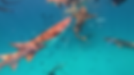 vlcsnap-2024-01-07-20h05m28s517.png