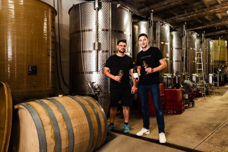 Miniatura: Torredemer Mangin Sinopia 2023