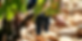 Design sans titre (22).png