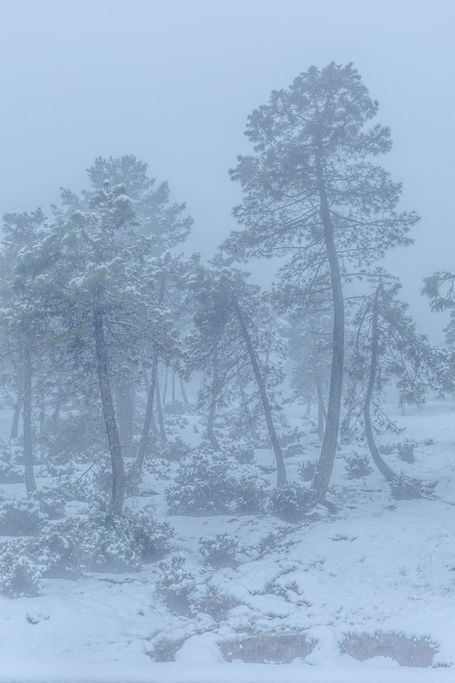 En pleine tempête