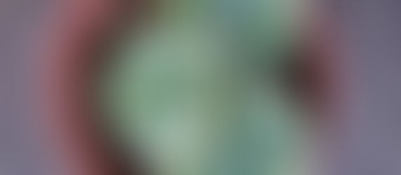 成田で花の苗を安く買うなら・・