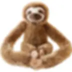 Long Arm Sloth Brown