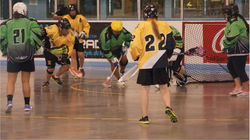 2014 Hamilton Lady Bengals