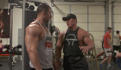 BUILDING STRONG DELTS AND TRAPS