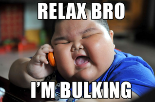 Should you be bulking?
