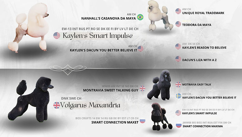 Copia de PEDIGREE (3).jpg