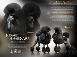 Lorena Rodriguez speical litter 2 