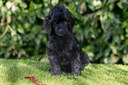 4E0A2475 arreglada (1)