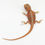 Thumbnail: Orange Hypo Translucent Leatherback 66% Witblits ID01