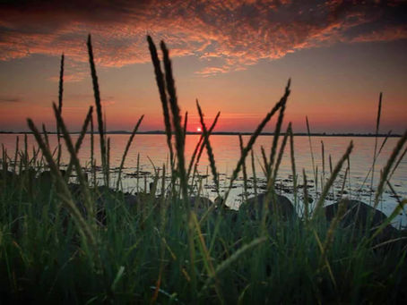 Friday, May 29, 2020