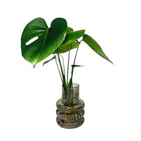 Hydroponic Prague reworked.jpg