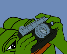 pepe-frog-neat.gif