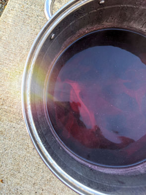 Cochineal ~ Natural Dye Results