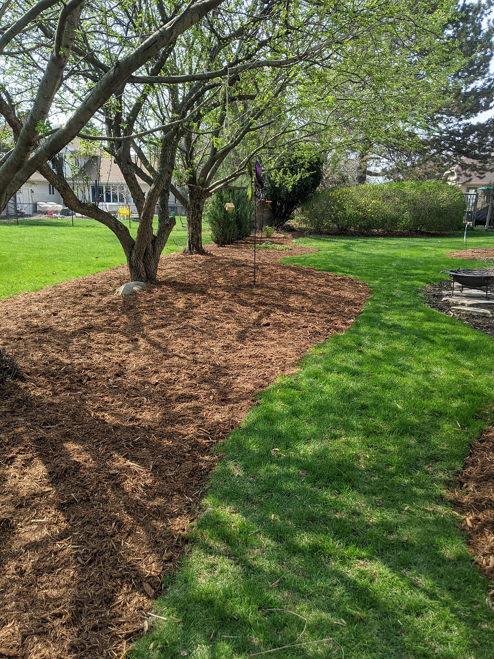 When to Apply Preemergent Herbicide: Timing Is Everything