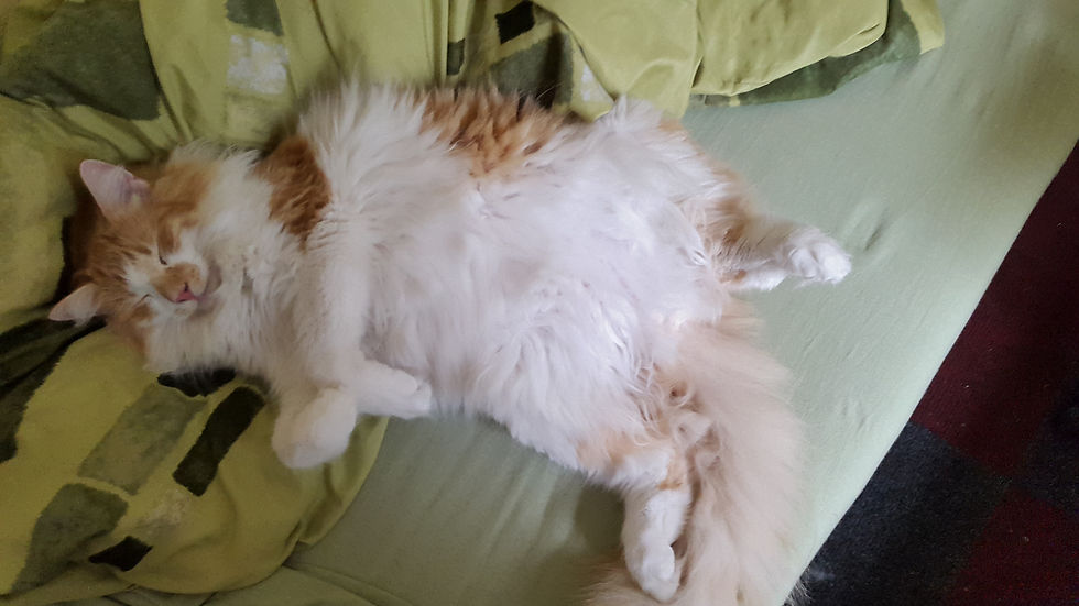 Oscar