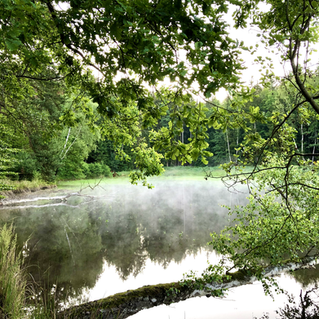 IMG_2815 (kopie).heic