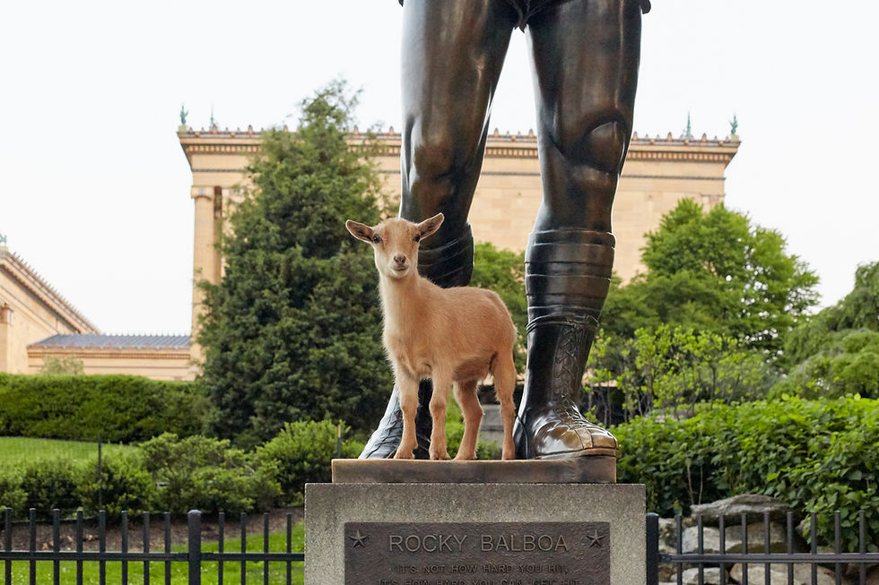clem and rocky (IMG_6785).jpg