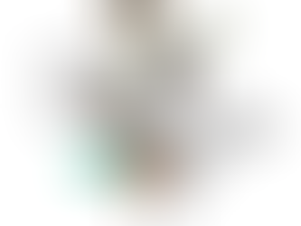 Gérer les risques sur le site de La Pallice