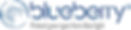 blueberry_logo.jpg