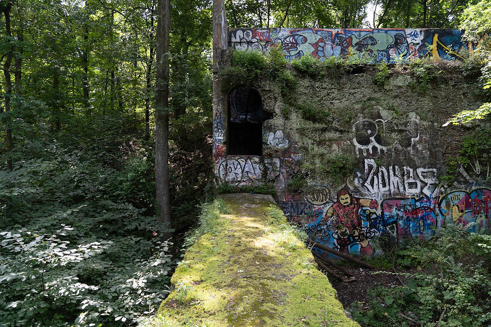 tweed tunnels, clausland mountain, blauvelt state park, hiking, nyack new york
