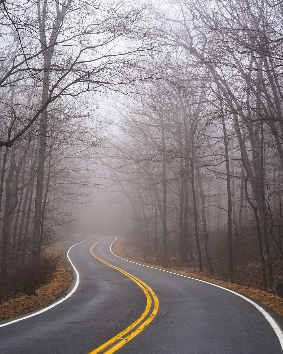 harriman state park road mist fog
