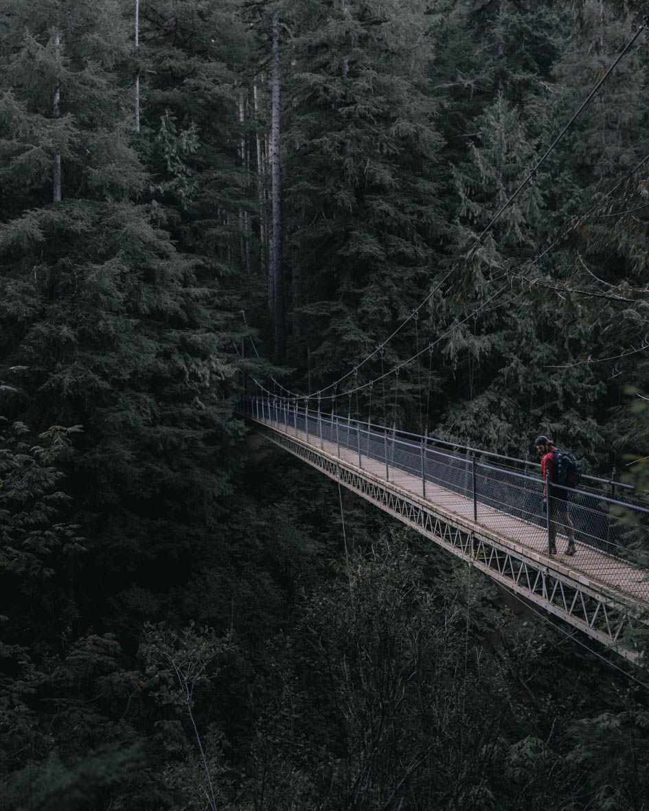 drift creek falls suspension bridge oregon