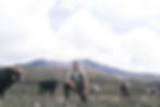 My Self-Guided Trekking in Los Nevados Experience