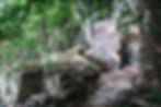 palisades interstate park, new jersey, the palisades, peanut leap falls, waterfall