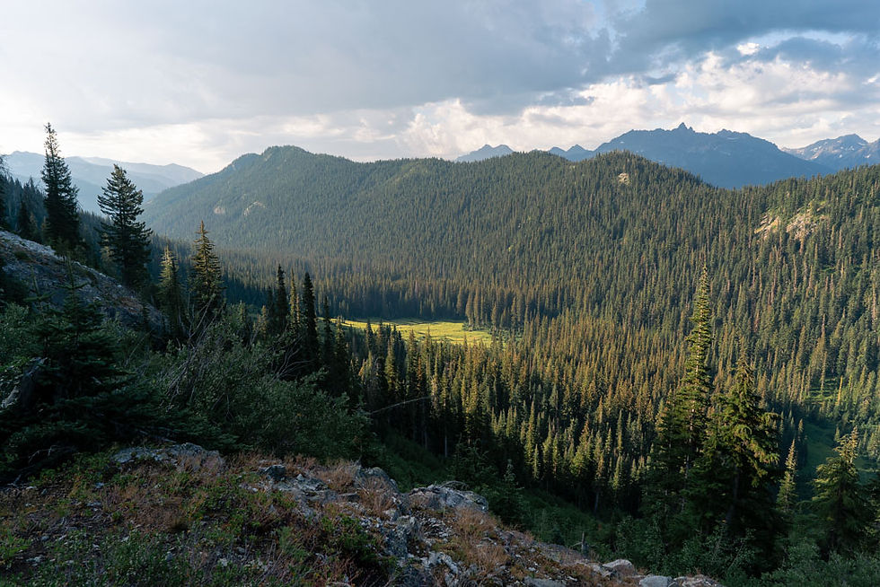Rainbow Meadow Northern Cascades National Park