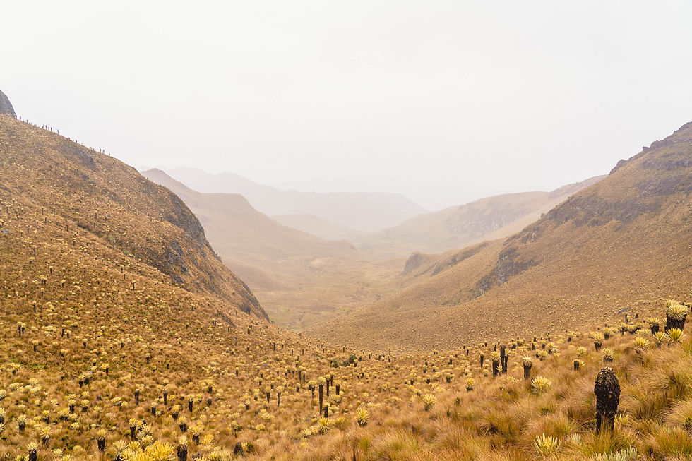 Termales del Cañon
