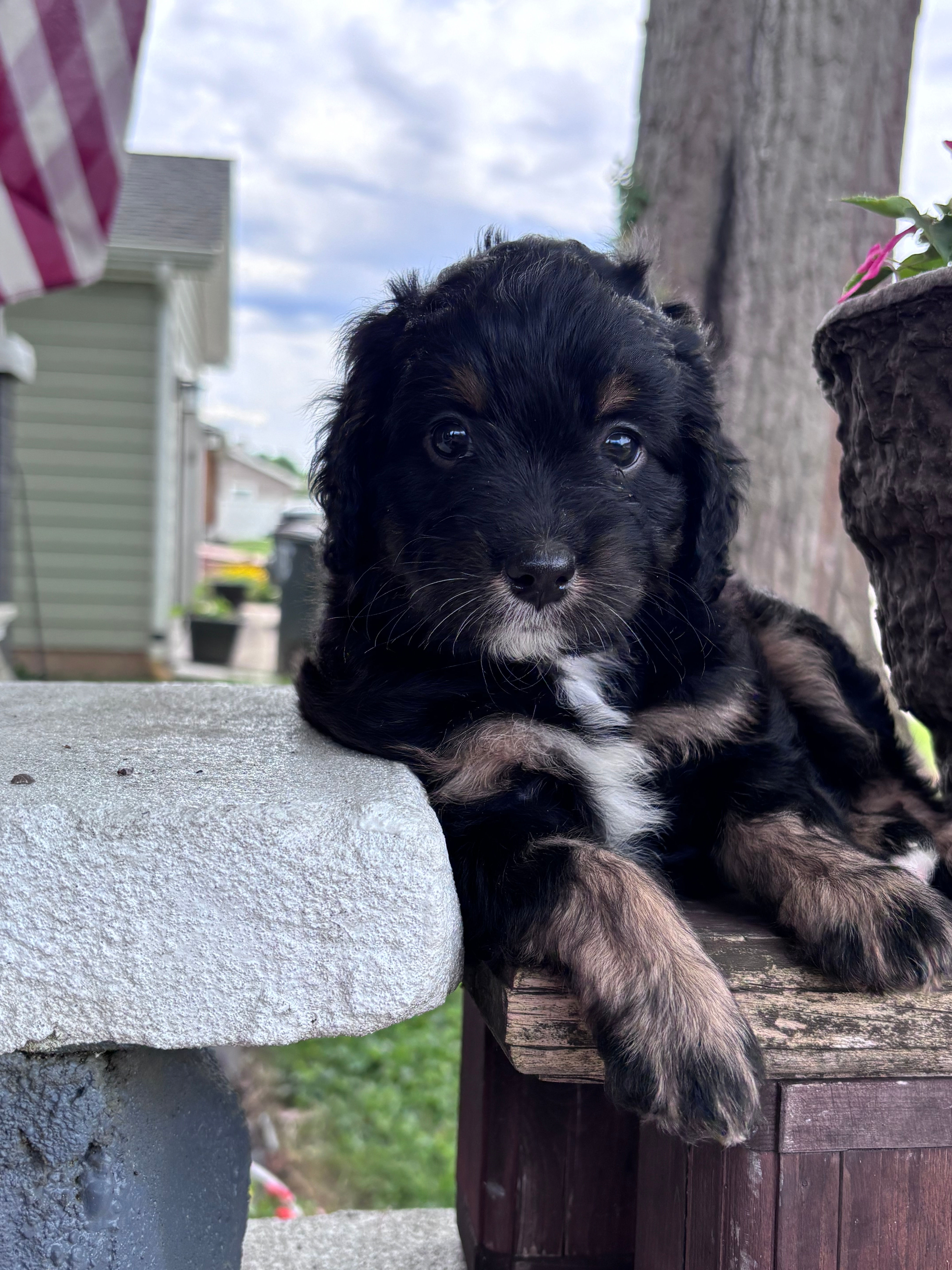 Vale female reserved