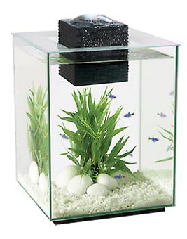 Aquarium.png