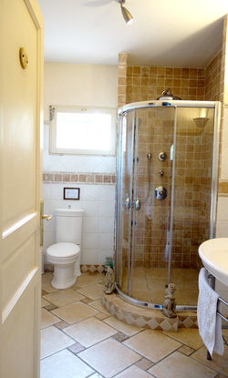 Master Shower Room