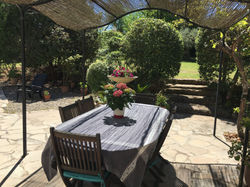 Outdoor Meals