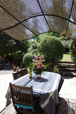 Outdoor Terrace & Patio