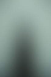 An Agent's Guide to Black Spruce