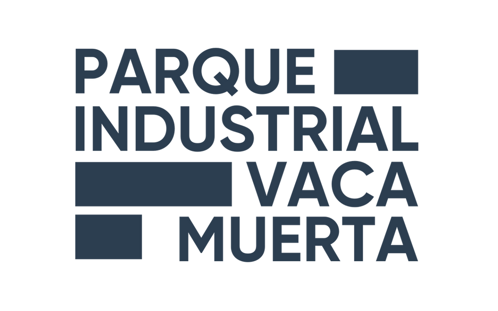 PIVM Logo Negativo Sin Fondo.png
