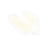 33.png