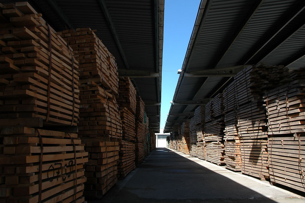 Timber terminal 8
