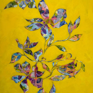 While there are native species the vibrant colored large flowered species typically found in local gardens came from Asia. Symbolize artfulness