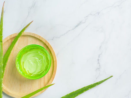 Why Aloe Vera Lotion is a Must-Have for Summer