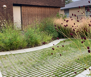 Natuurlijke voortuin Bruinbeke
