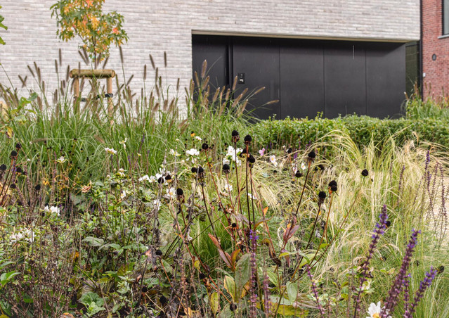 ontwerp natuurlijke tuin