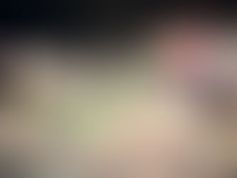 The Las Vegas Museum You Can't Miss!