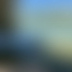 The Fascinating Divorce Ranch History of Floyd Lamb Park In Las Vegas