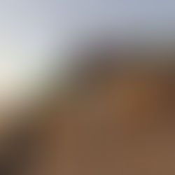 Discover Casa Di Amore the Hidden Gem of Italian Cuisine in Las Vegas